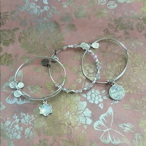 Alex And Ani 3 Piece Winter Bracelet Set